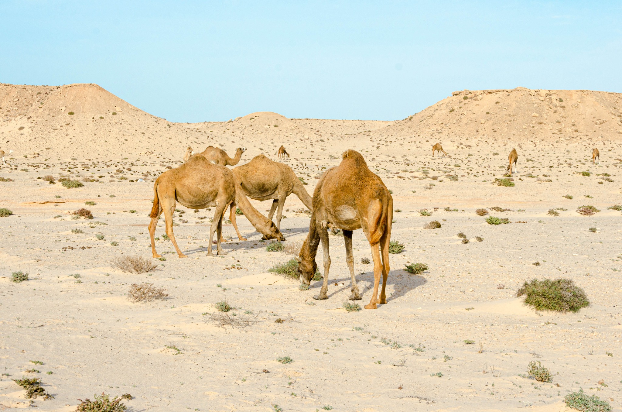 Dakhla Boutique Hotel