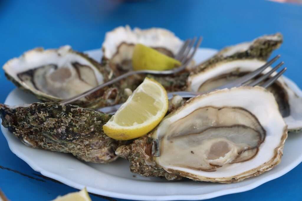 Plateau de fruits de mer frais à Dakhla : huîtres, homards et langoustes pêchés en Atlantique, Maroc